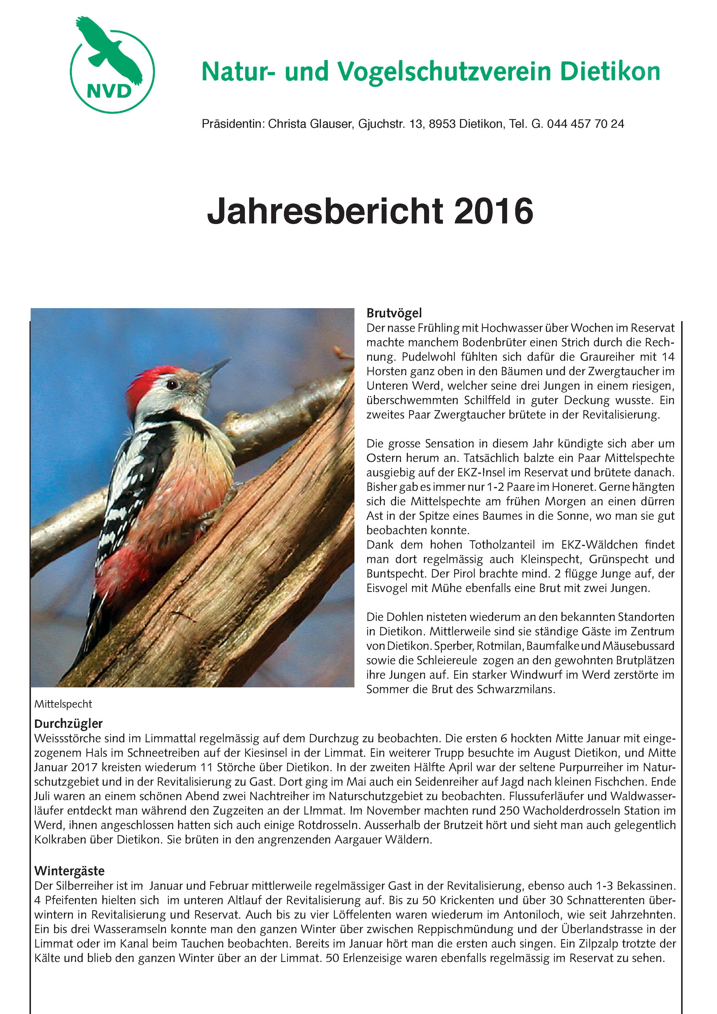 Jahresbericht 2016