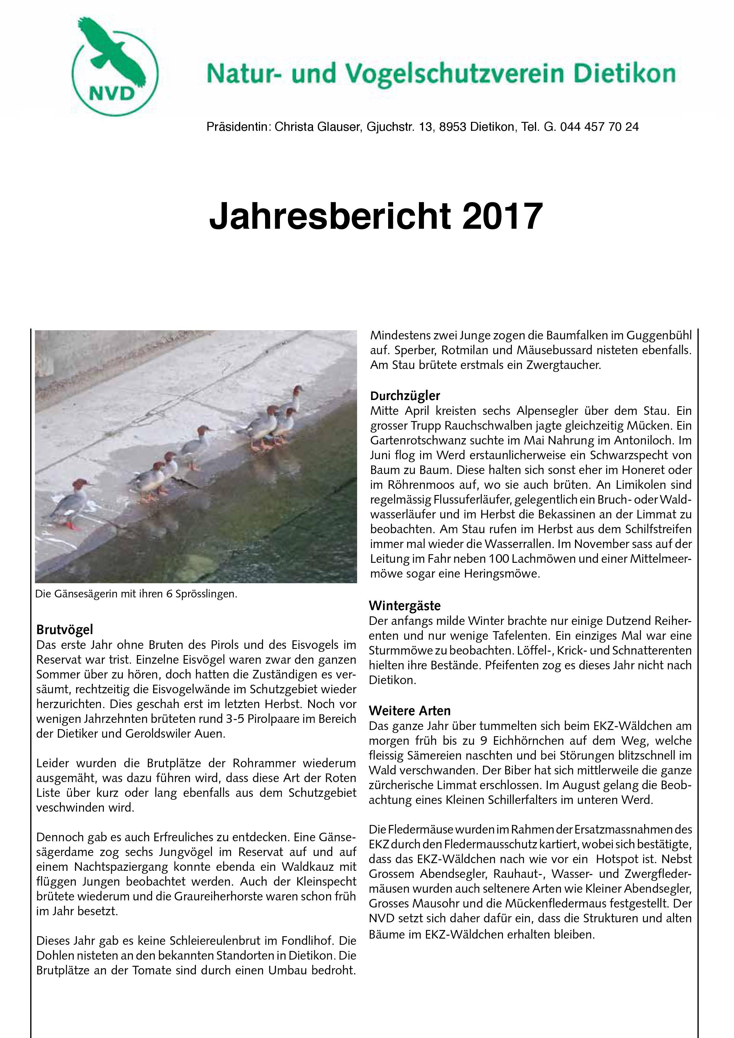 Jahresbericht 17