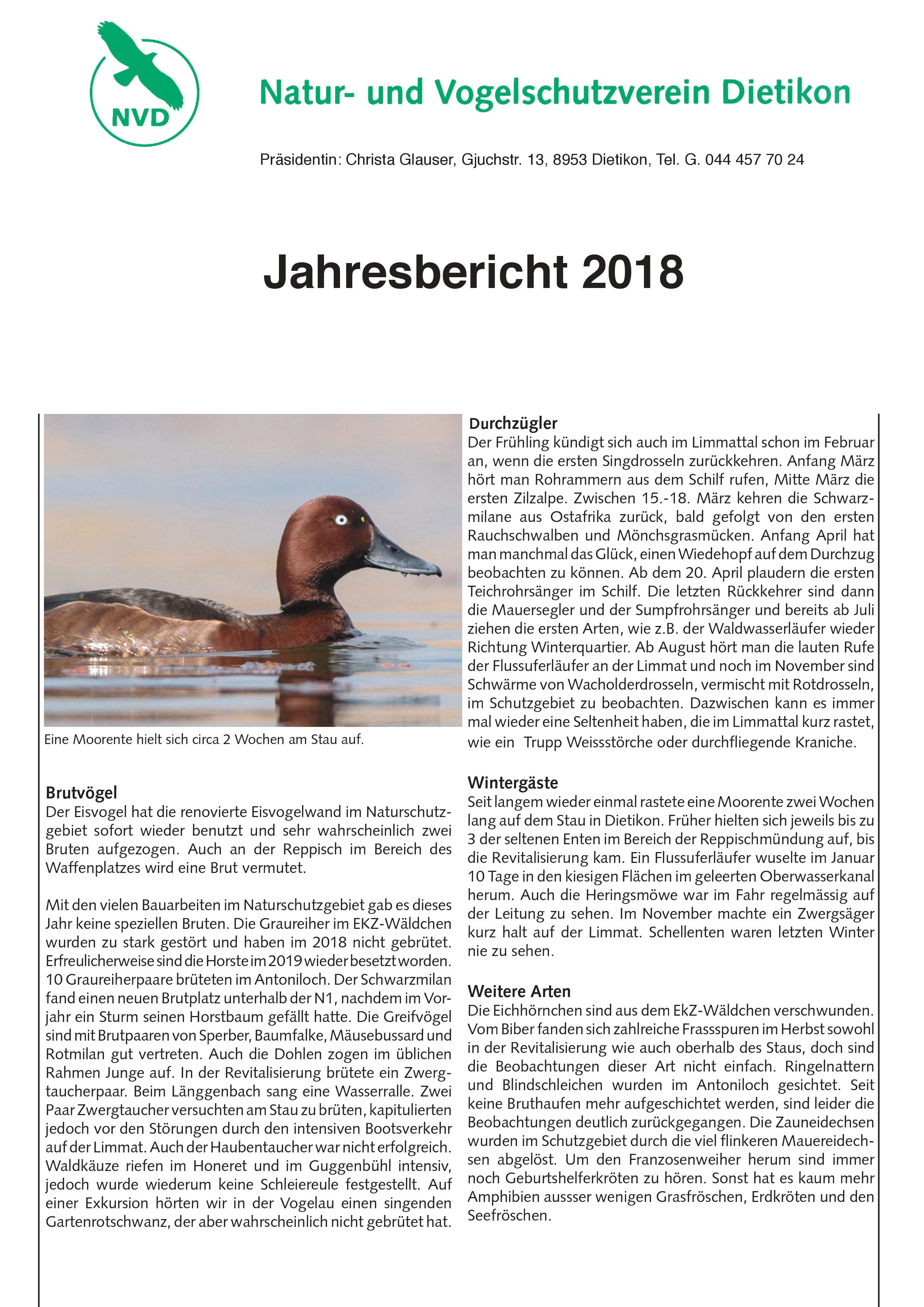 Jahresbericht 2018