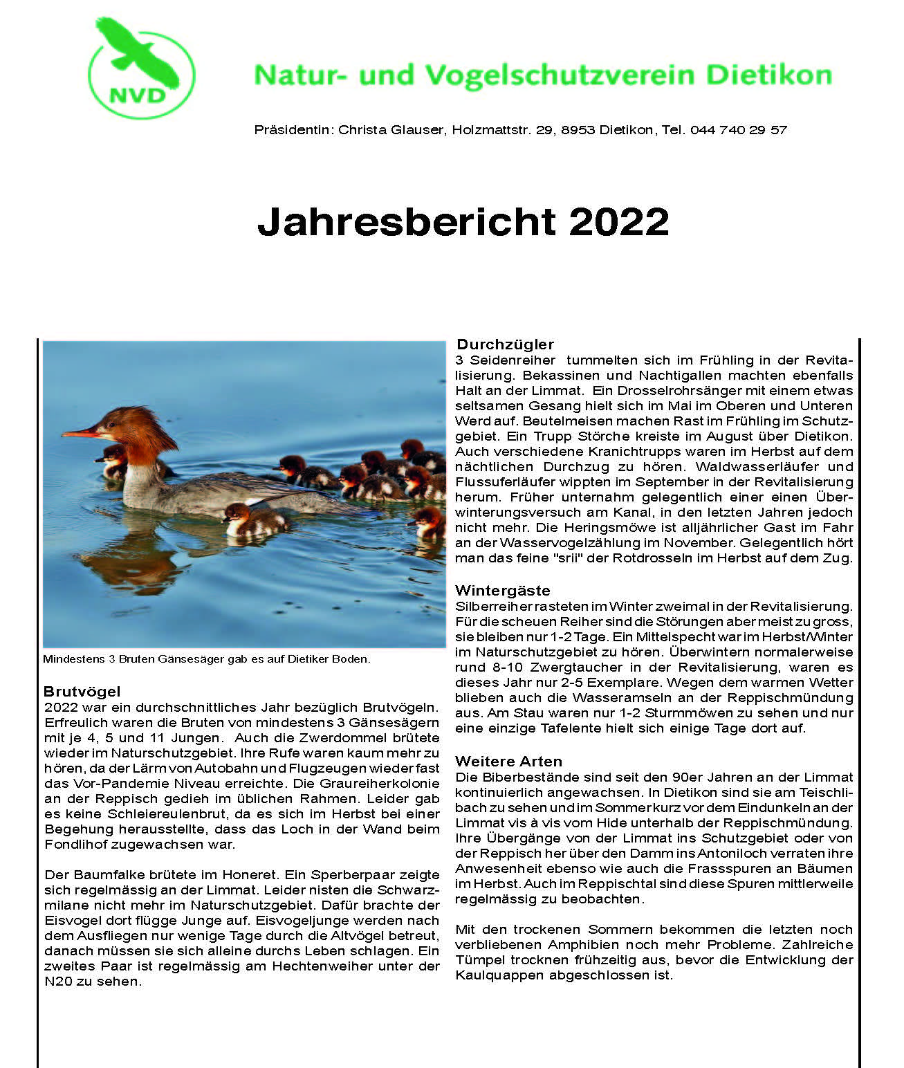 Jahresbericht 2022 - Seite 1