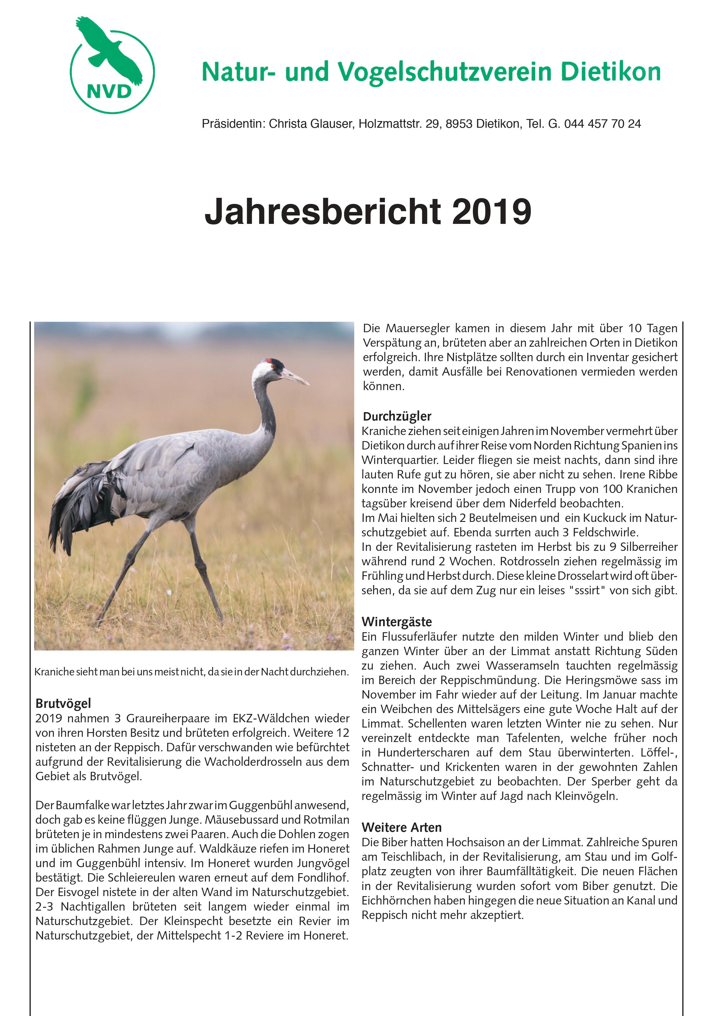 Jahresbericht 2019